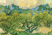 Vincent Van Gogh Olive Trees with the Alpilles in the Background oil painting picture wholesale